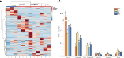 Quality evaluation of four Ferula plants and identification of their key volatiles based on non-targeted metabolomics